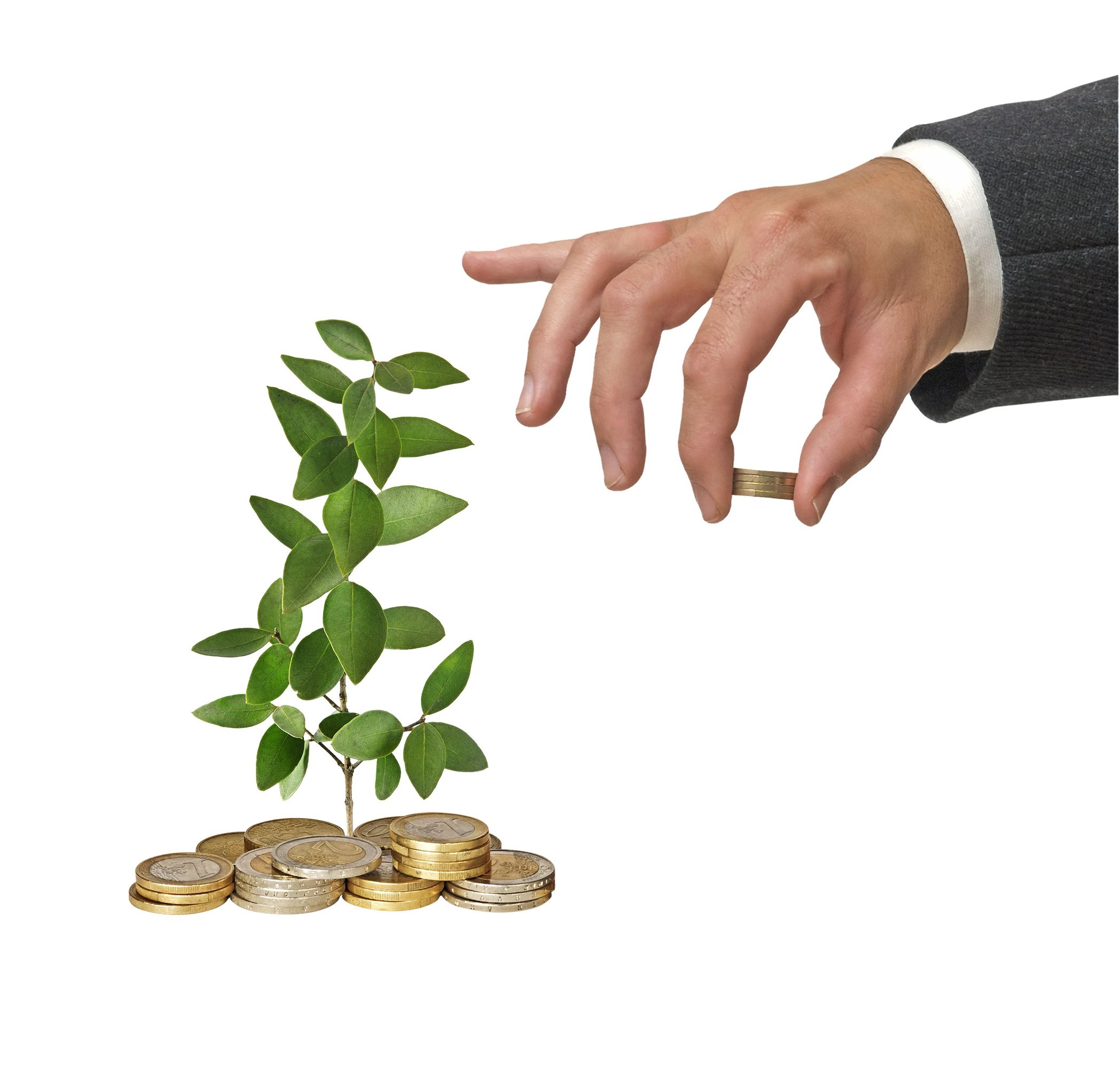 Http apply. Money help. Picture of Leaf and money. Paid money help. Fund Plant.
